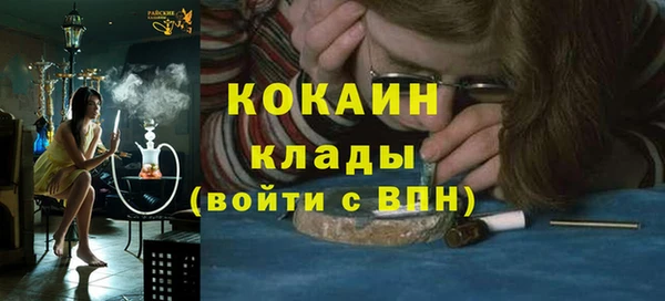 шишки Верхний Тагил
