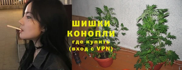 шишки Верхний Тагил