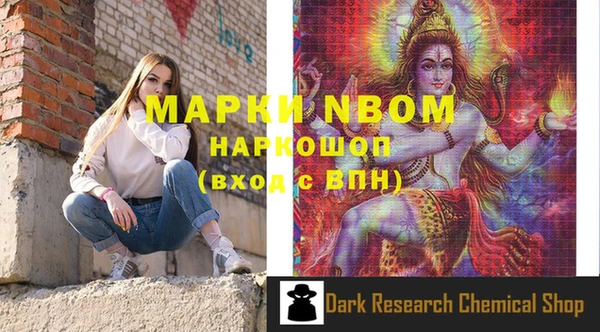 шишки Верхний Тагил