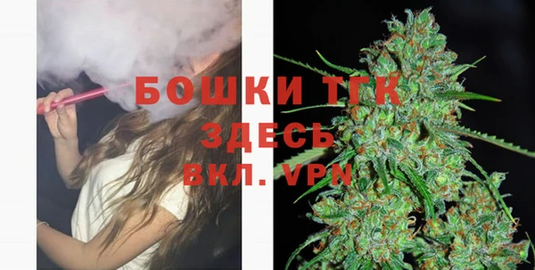 шишки Верхний Тагил